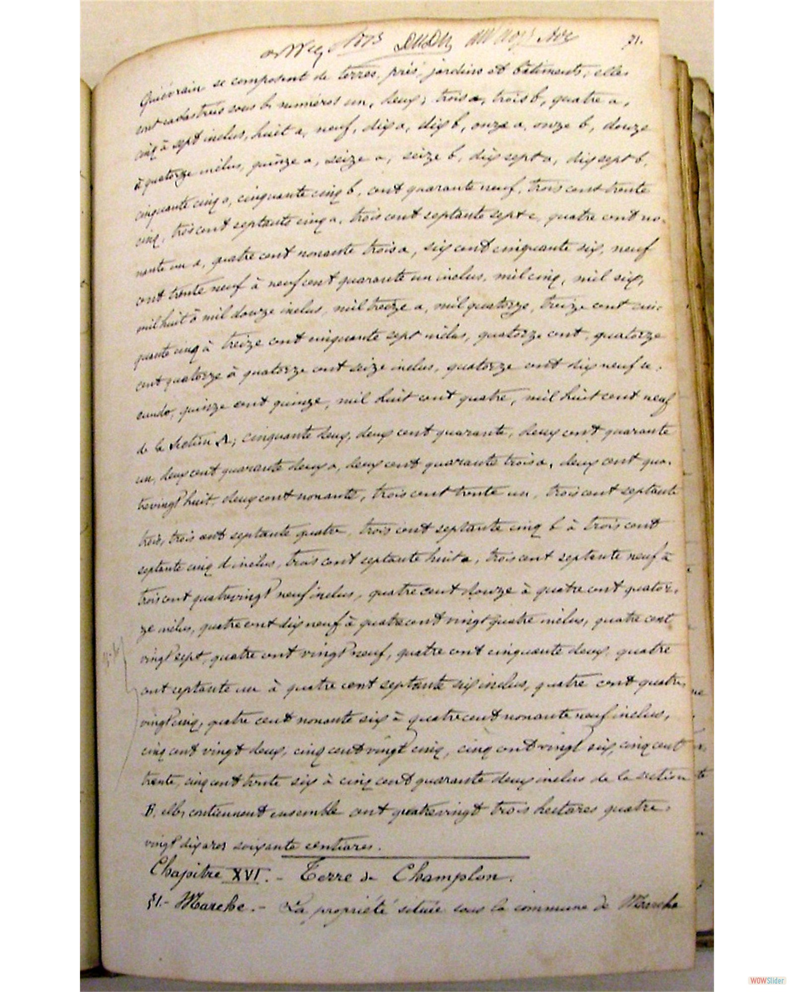 agr-1861-acte partage arenberg (110)