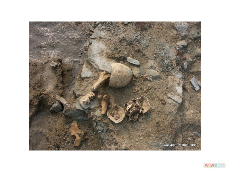 fouilles 2010 (52)